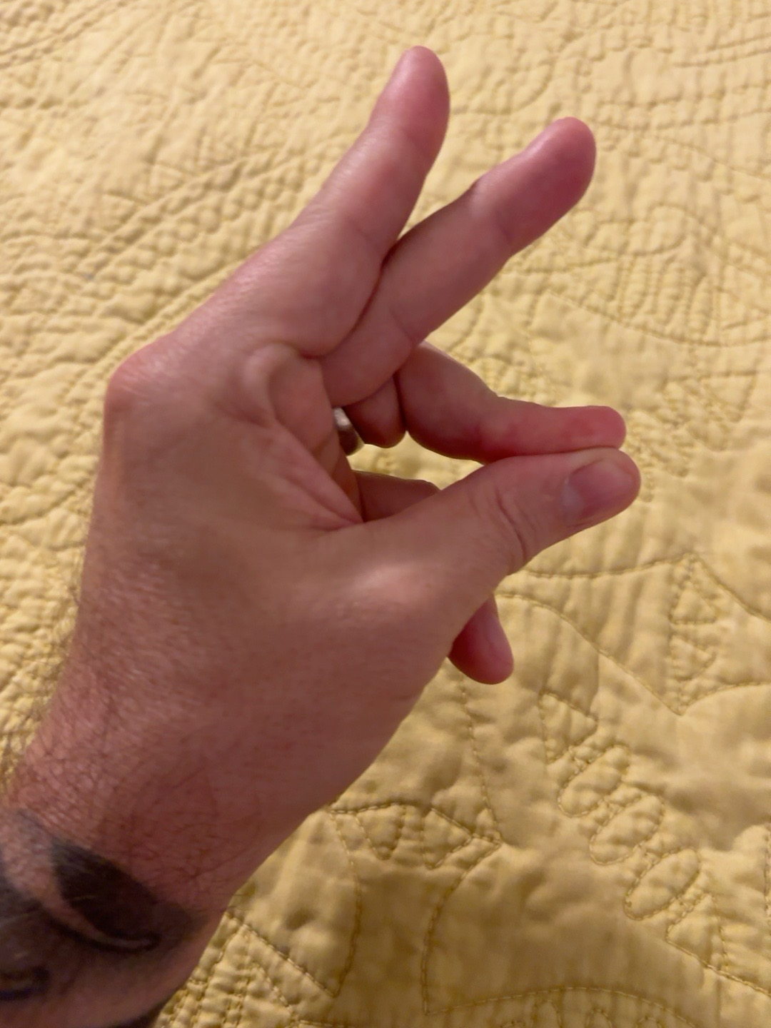 A hand reference photo showing fingers forming a circular shadow puppet gesture.