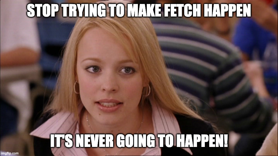 Mean Girls meme reading, Stop trying to make fetch happen. It's never going to happen.